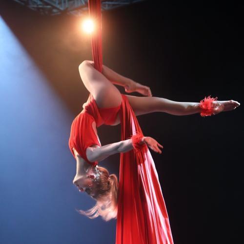 Blumenfeld Circus