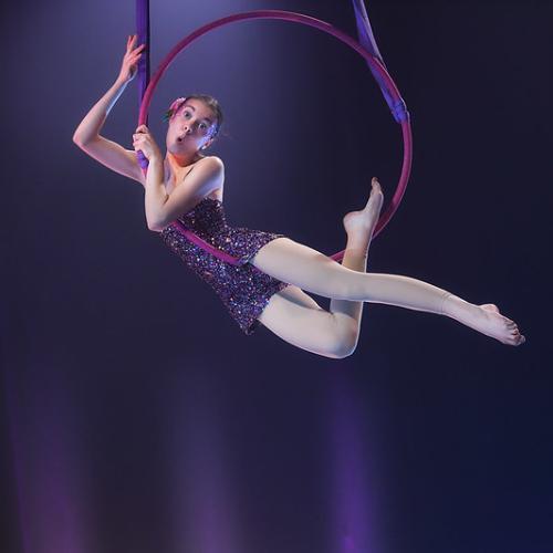 Blumenfeld Circus