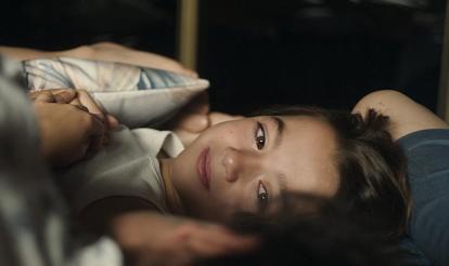 20,000 Species of Bees