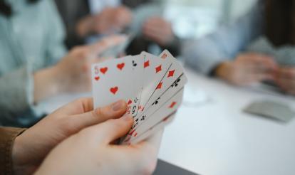 Bridge: Supervised Play