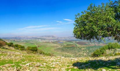 Community Resilience and Shared Living Post 7-October