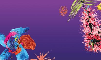 Demystifying Women's Health