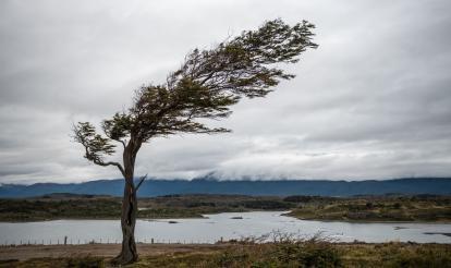 Dilemmas of the Deep: Resistance and ‘The Righteous’