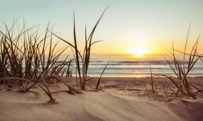 A New Year, a New You: Building Your Retirement Vision