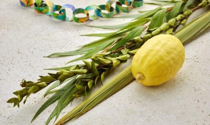 Young JW3: Friday Night Dinner in the Sukkah