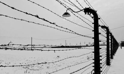 Holocaust Denial and Distortion